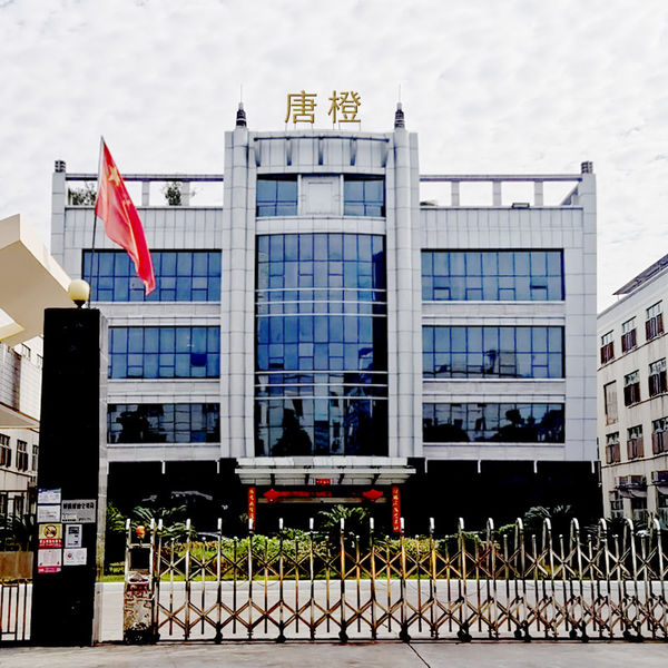 Çin Guangzhou Tangcheng Technology Co., Ltd. şirket Profili