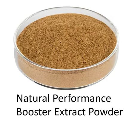Health Food Natural Performance Energy Booster Powder Herbal Extract Dietary Supplement
