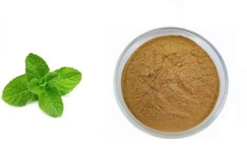 Health Food Natural Performance Energy Booster Powder Herbal Extract Dietary Supplement