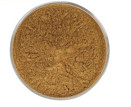 Health Food Natural Performance Energy Booster Powder Herbal Extract Dietary Supplement